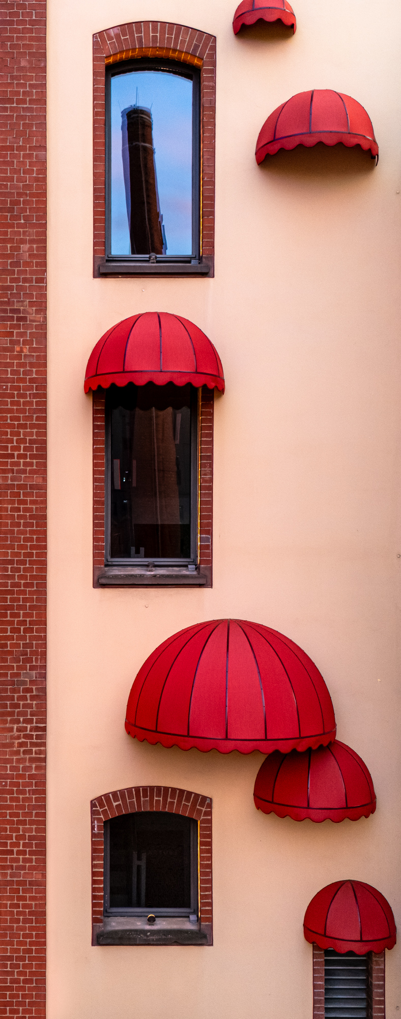 Mehr über den Artikel erfahren Langreuter Wild things, 2025