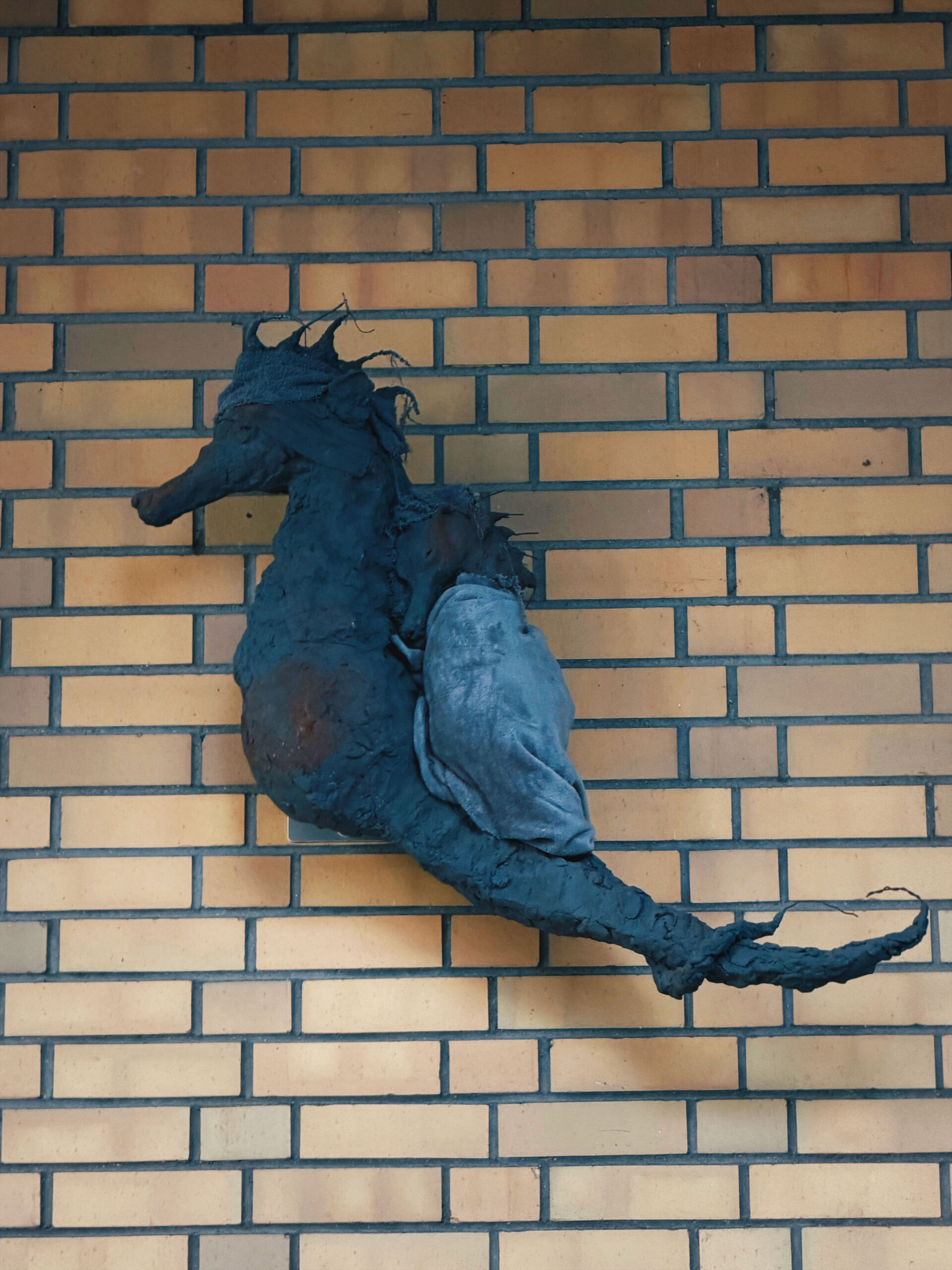 Mehr über den Artikel erfahren Heike Kabisch, Casey & Luca, 2025