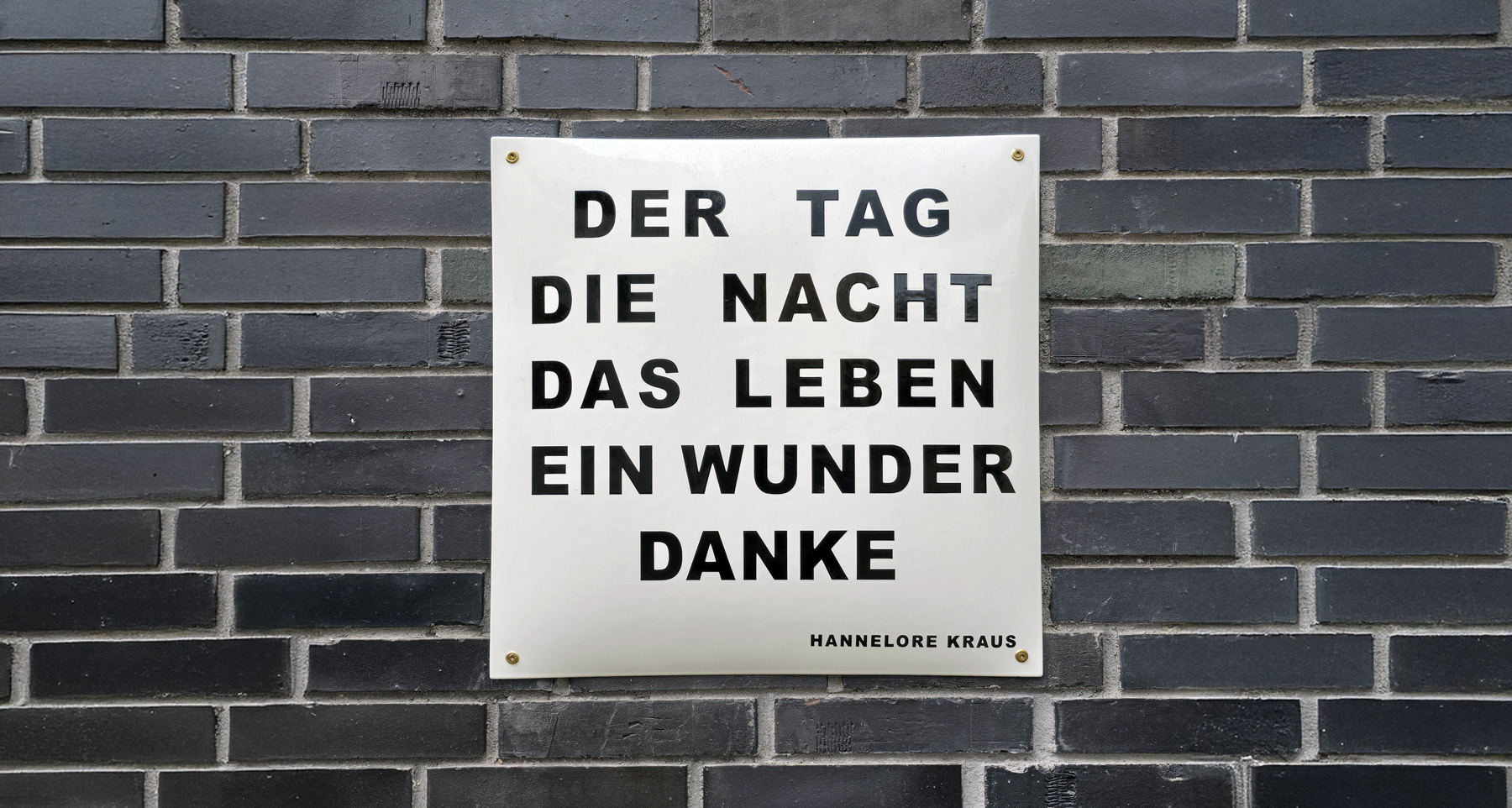 Mehr über den Artikel erfahren Kraus, Ein Wunder